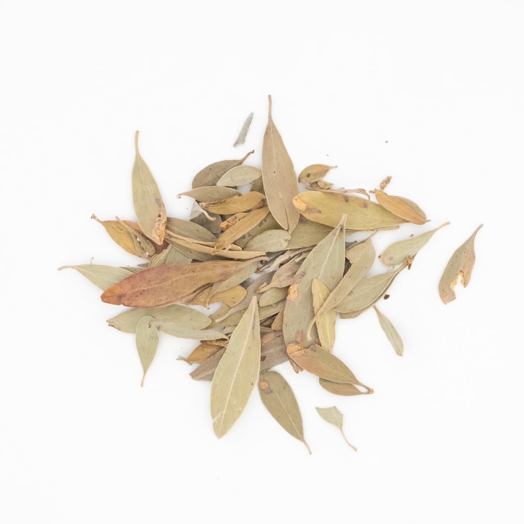 Jilungin – Native Sleeping Herb