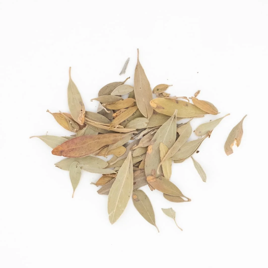 Jilungin – Native Sleeping Herb