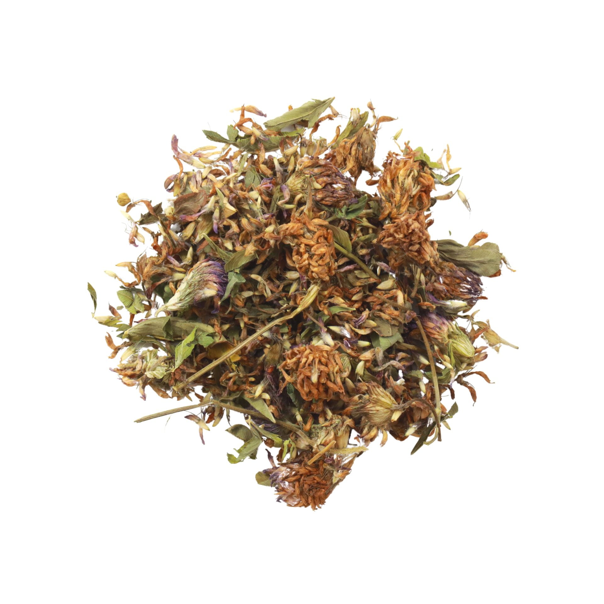 red-clover-tea