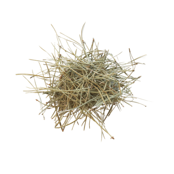 Pine Needle Uncut
