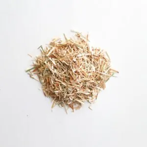 Lemongrass Native Australian