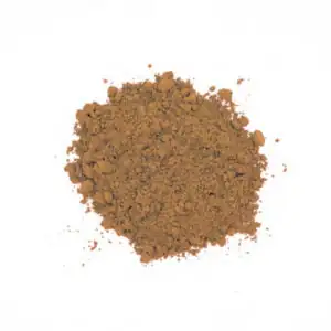 Japanese Hojicha Latte Certified Organic