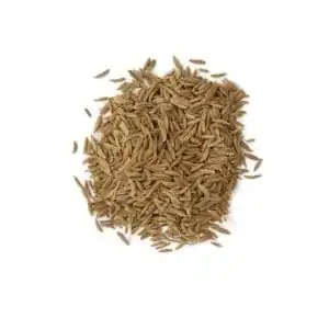 Caraway Seed Tea Certified Organic